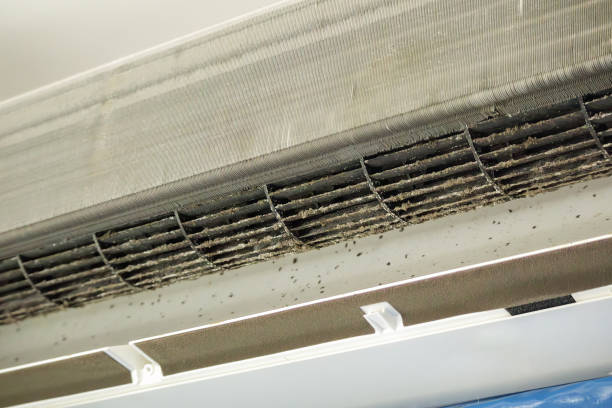 Best Dryer Vent Cleaning Services  in Fuquay Varina, NC